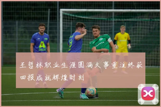 王哲林职业生涯圆满久事重注终获回报成就辉煌时刻