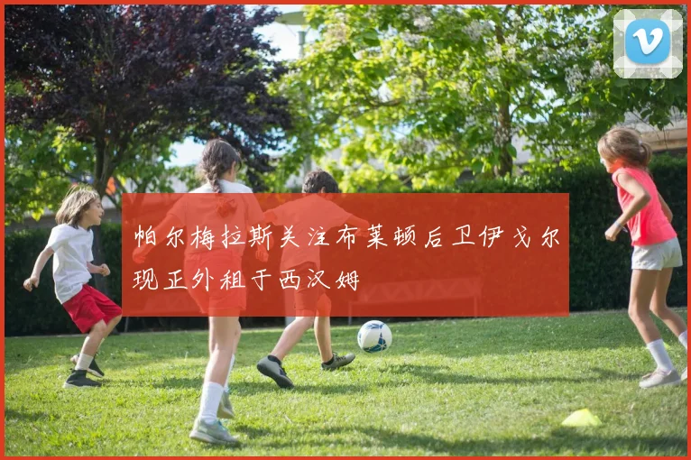 帕尔梅拉斯关注布莱顿后卫伊戈尔现正外租于西汉姆