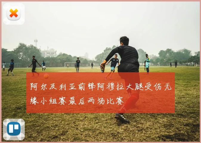 阿尔及利亚前锋阿穆拉大腿受伤无缘小组赛最后两场比赛