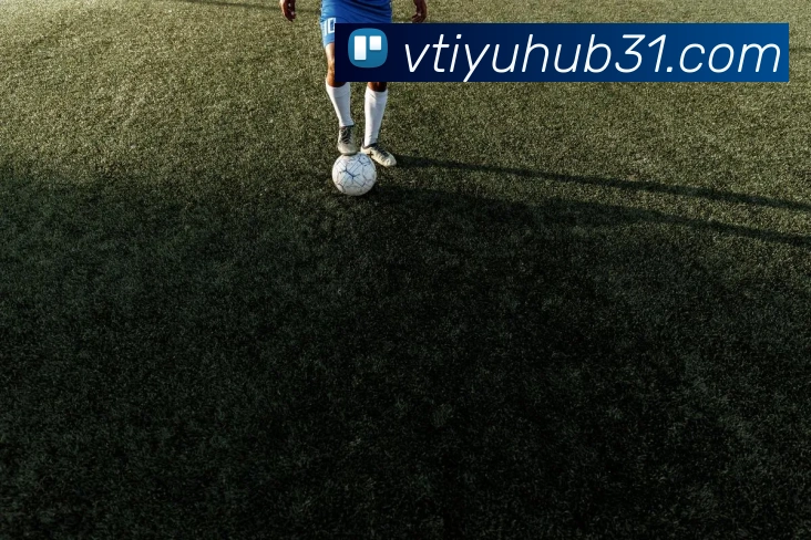 v体育全站App